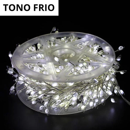 🎄 Luces Americanas 2